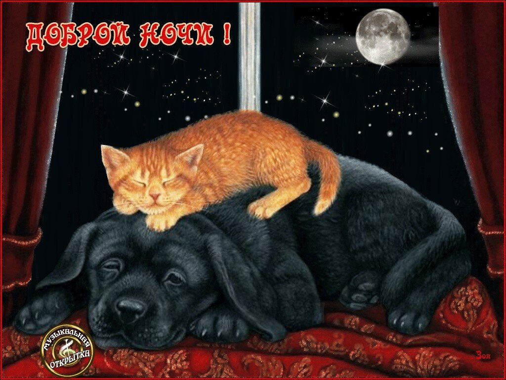 ���� ����, �������� ������ ���� ������