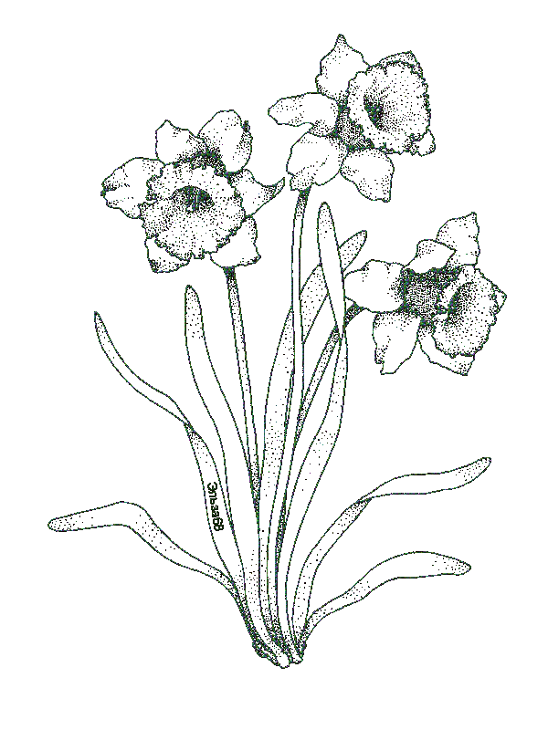 https://avatars.mds.yandex.net/get-pdb/1532005/10579b1e-6a88-48e3-aa20-c0002957f50f/orig