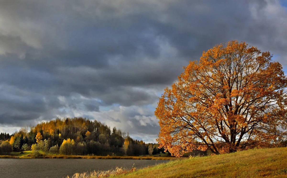 Тучи осенью картинка