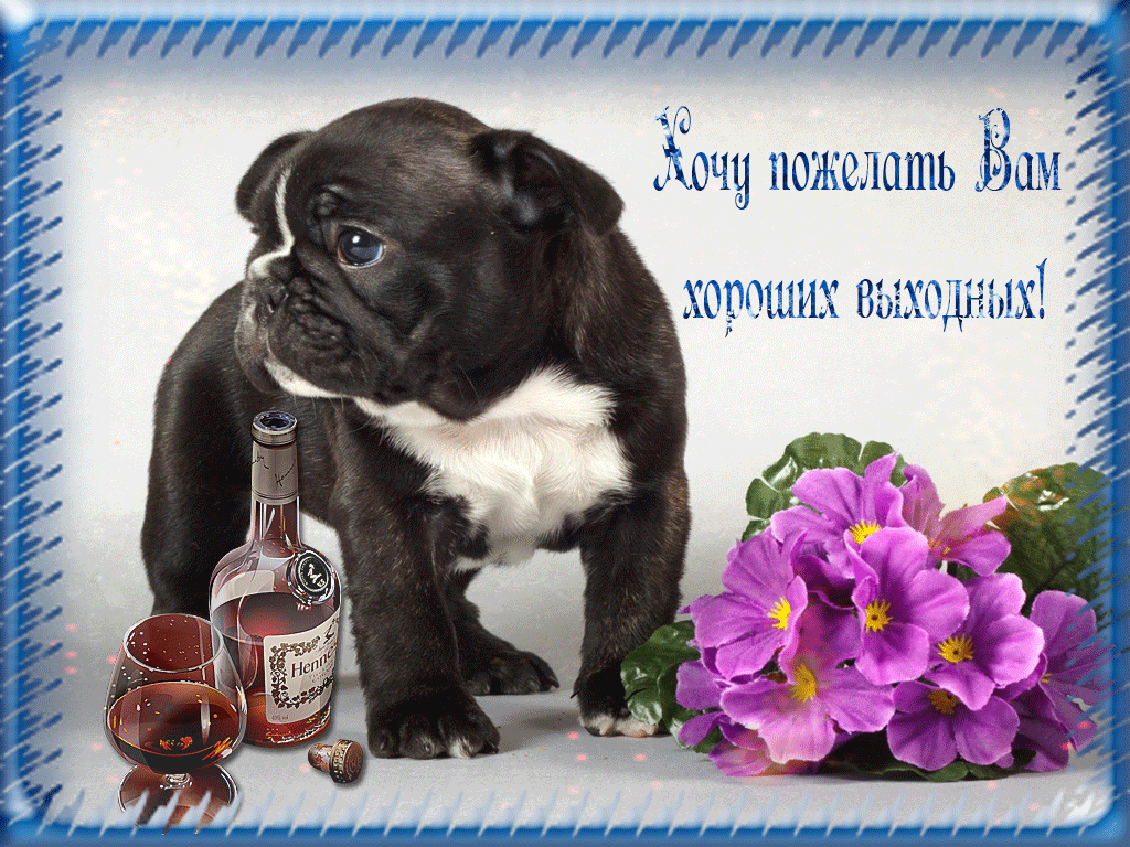 Приятные выходные с подругой