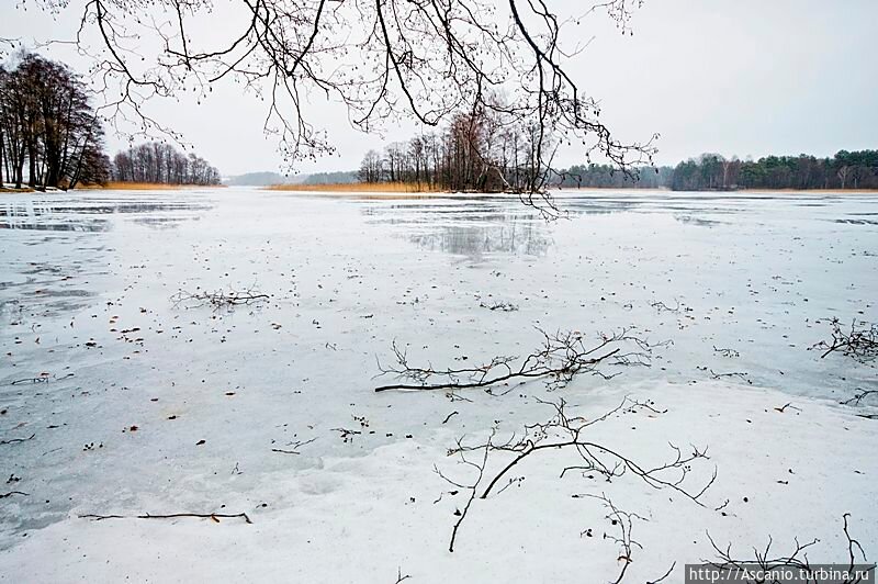 река весна лед pixabay фото