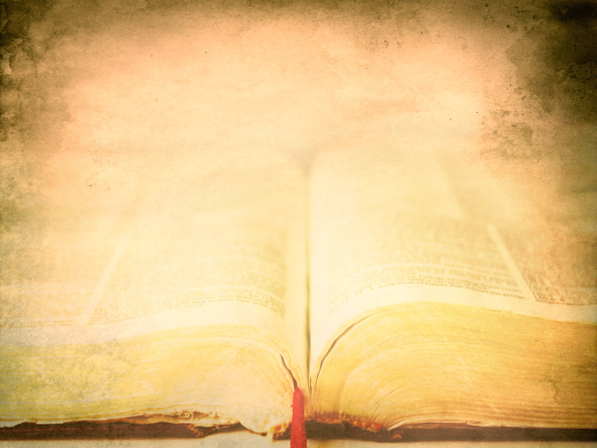 ������������ �������� ��� �����������, ��������� ��������