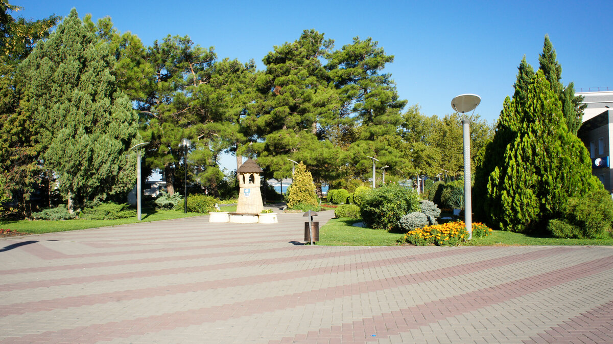 городской парк фото