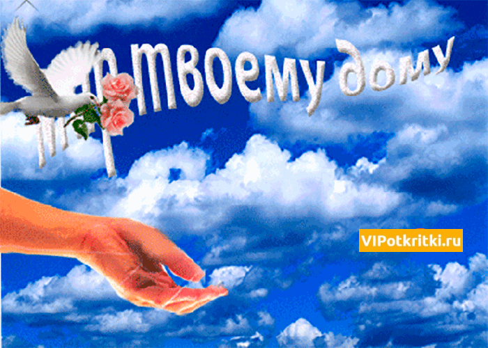 ��� ���������, �������� ��� � ������