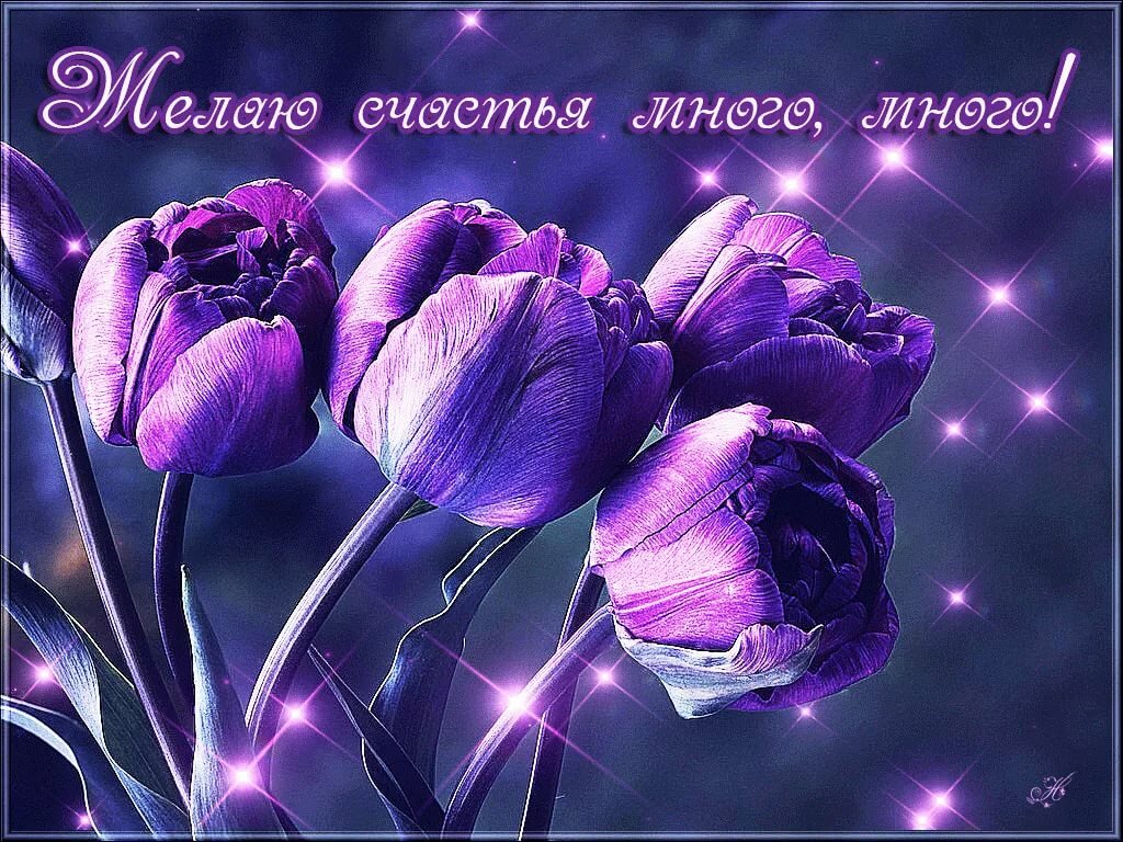 �������� ����� � ������� ��������