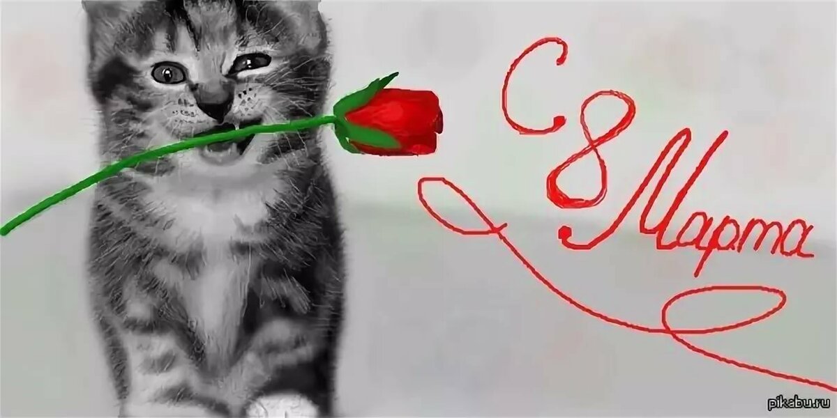 �������� � 8 ����� � �����, ����� ���� �������