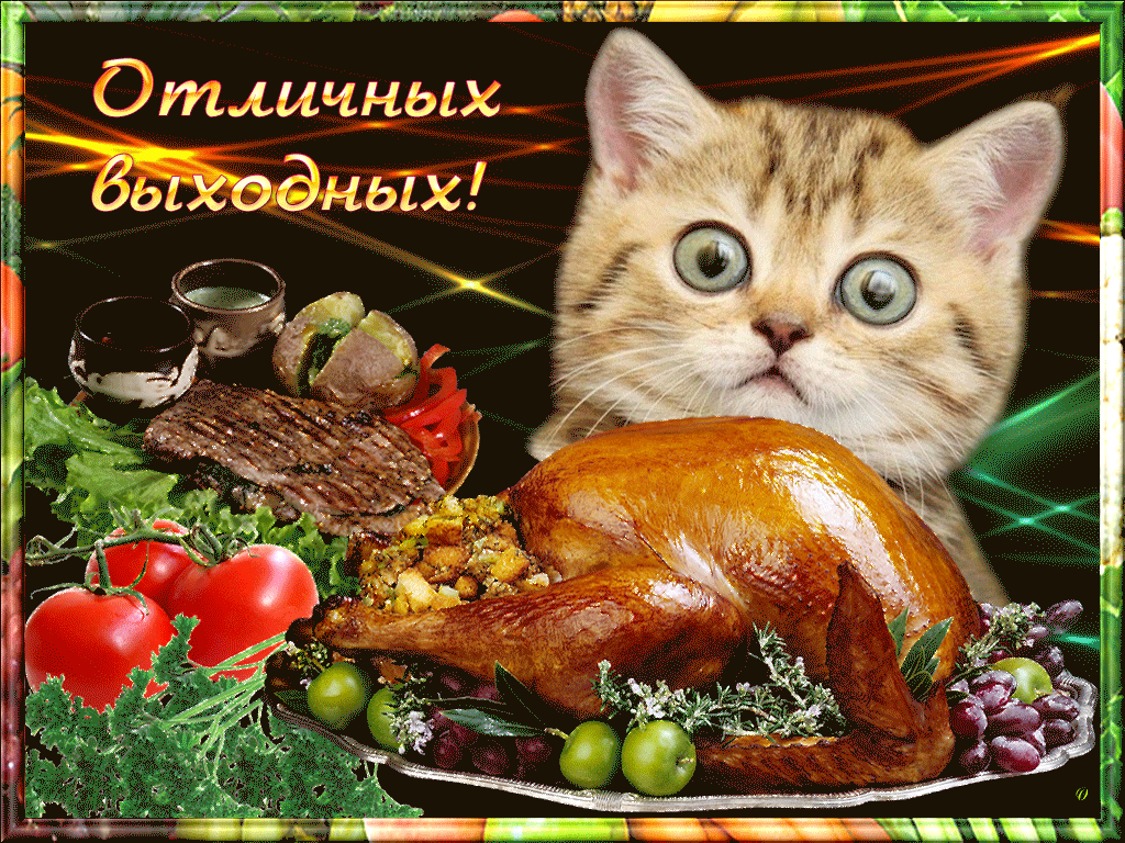 ��� ������, �������� �������� �������� �������� ��������