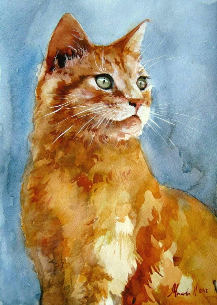 кошка акварель фото