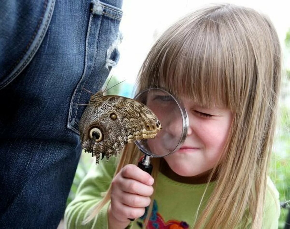 ���������� �������� ��� ����� 6 ���