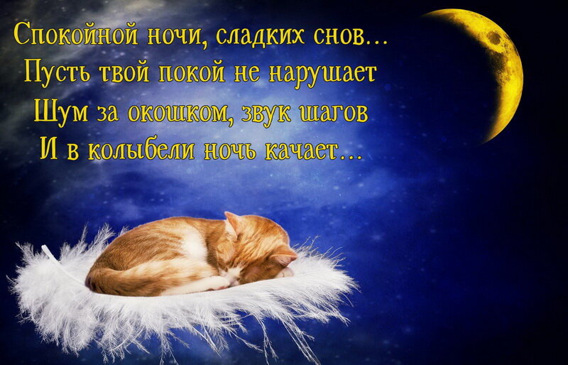 ����� �������, �������� � ����������� ������� ���� �������