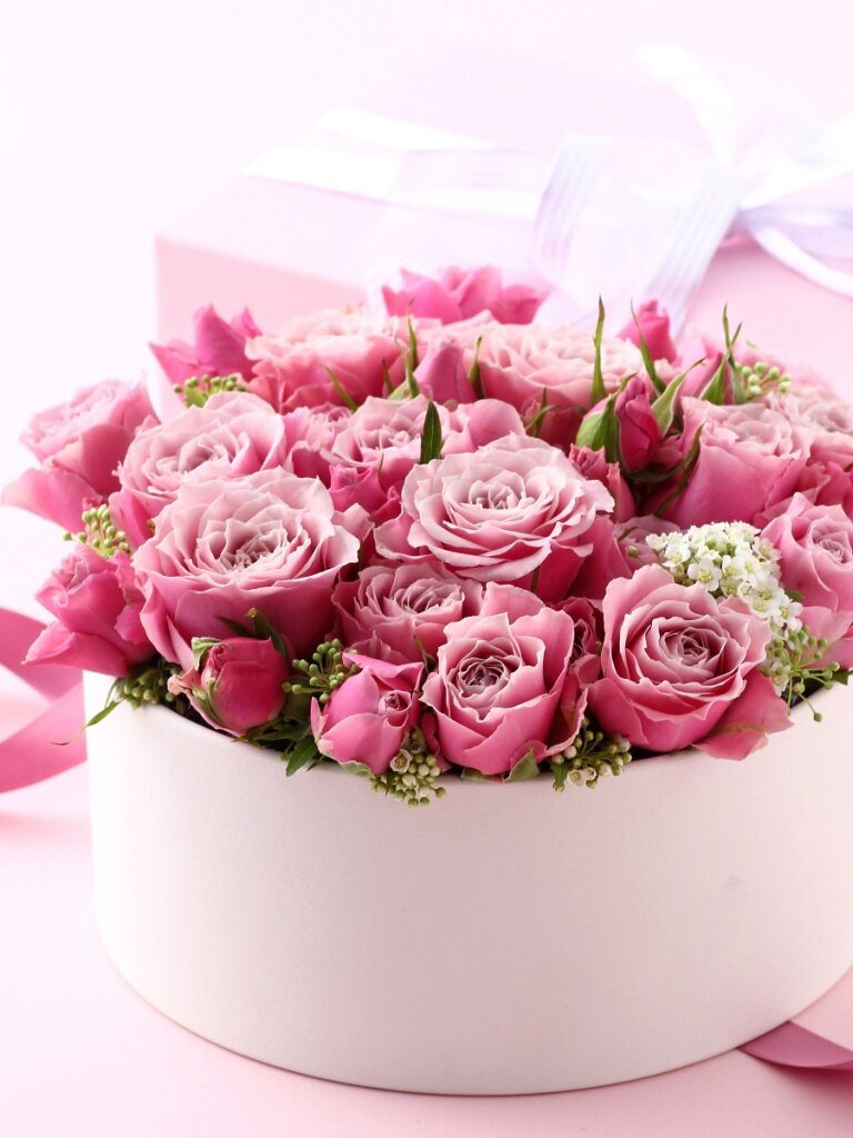 ������ �������� � ���� �������� ��� �������