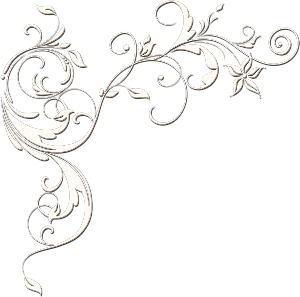 ����� ��� ��������� ��������