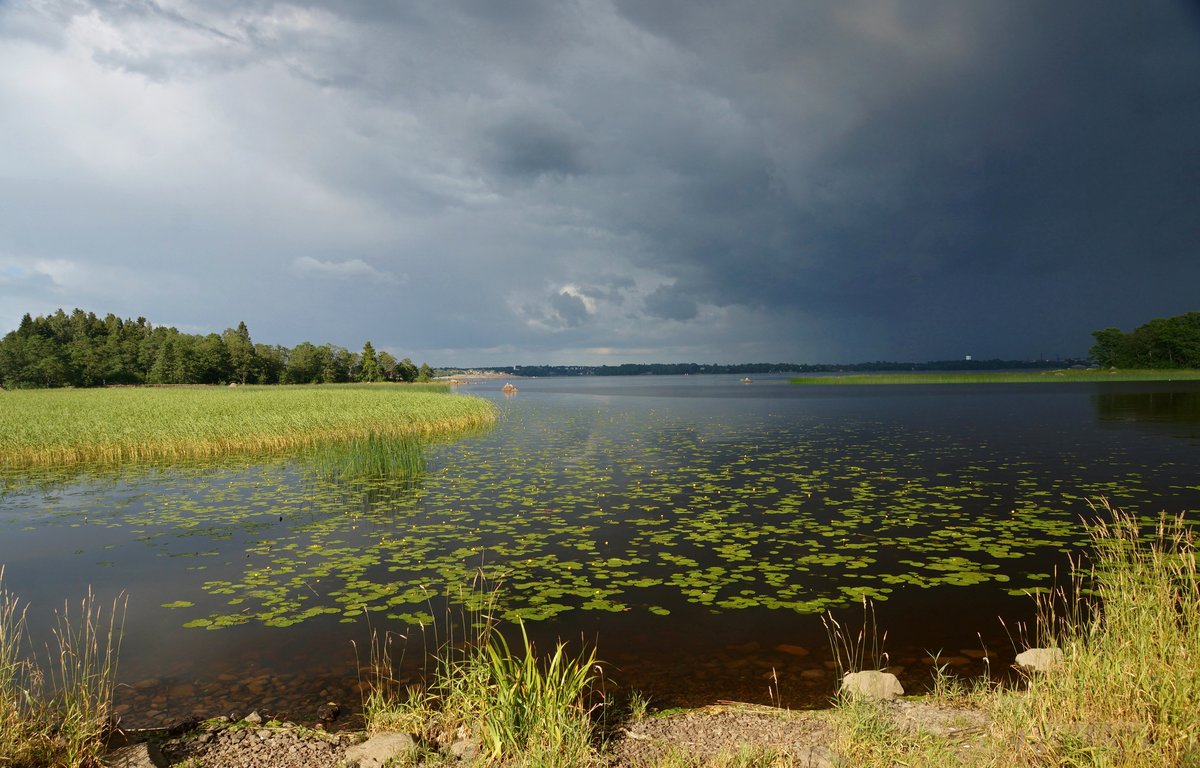 озера нерское, долгое, круглое фото