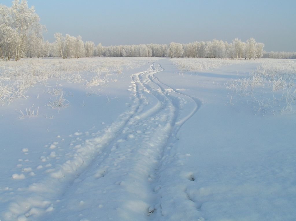 по первому снегу фото