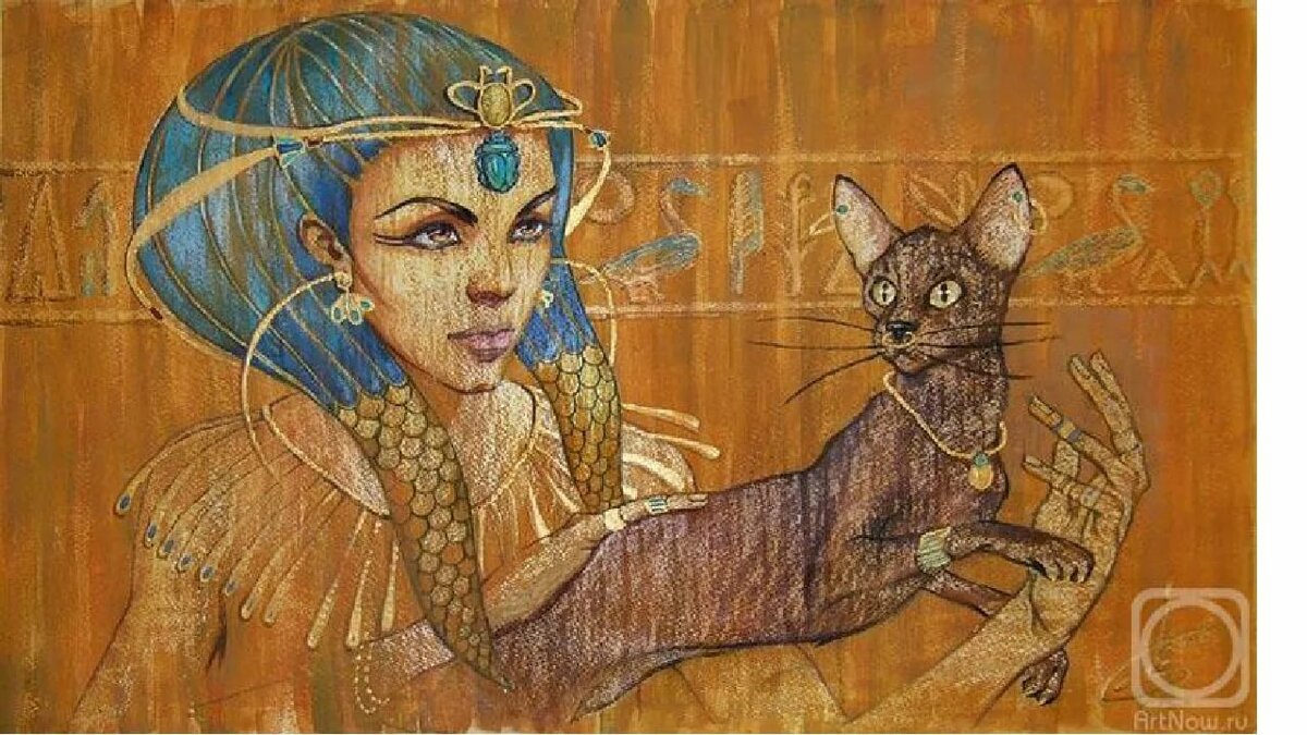 египетская кошка человек фото