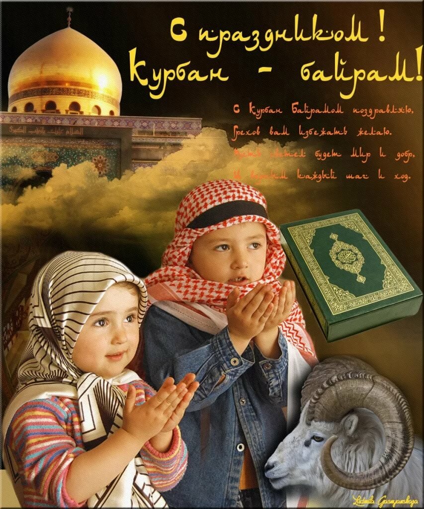 �������� ������������ � ��������