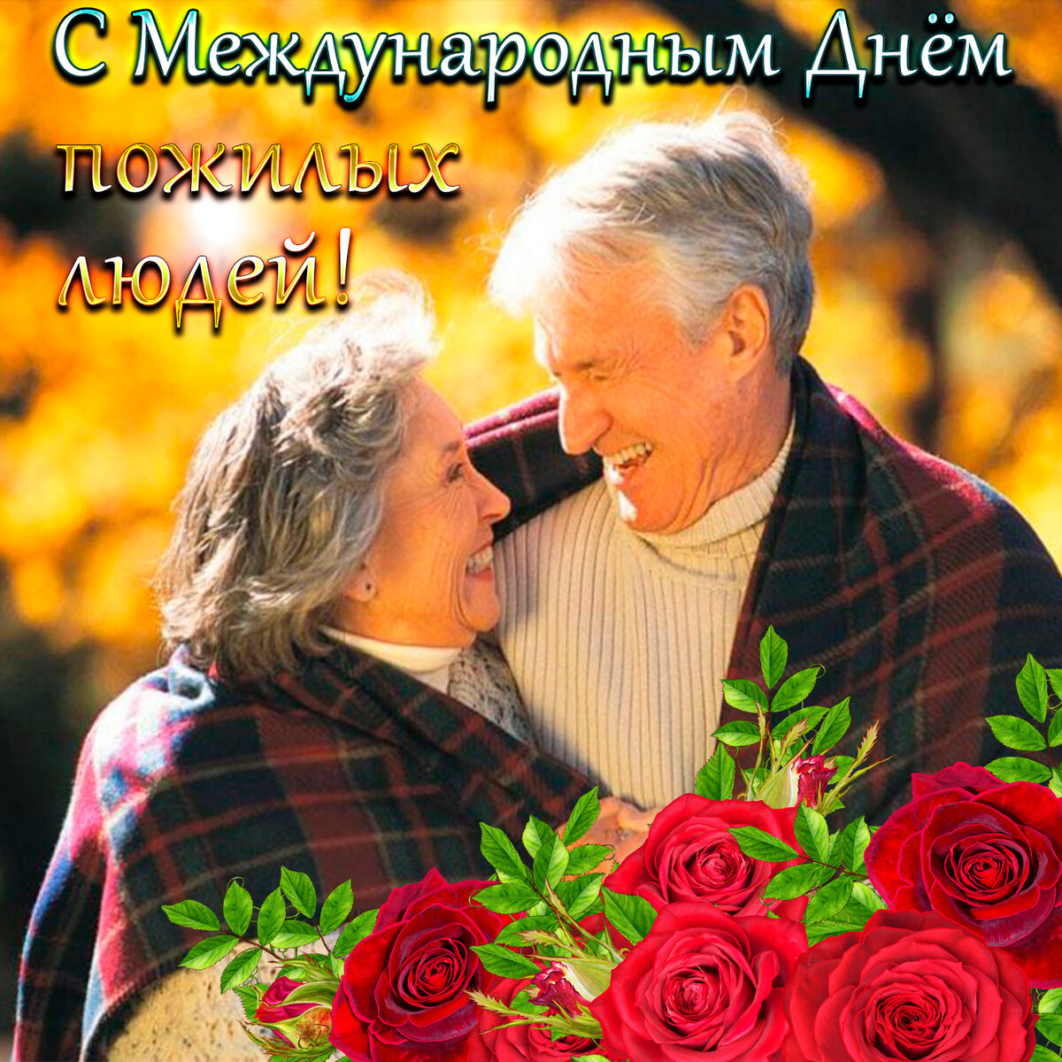 ���� �������� ��� �������, ��������