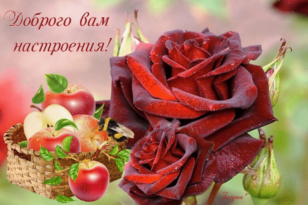 �������� � ���������� �����������