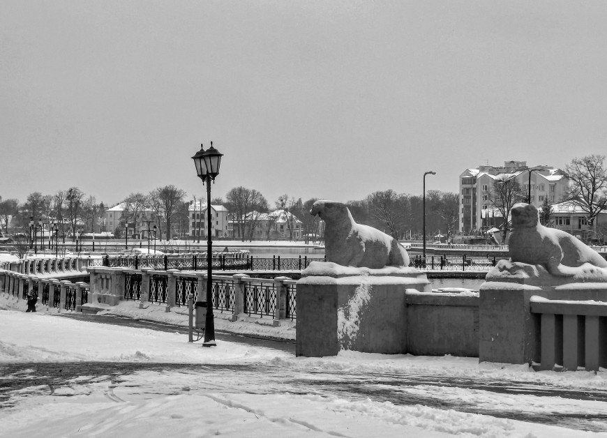 львиный мост санкт петербург фото