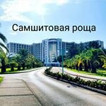 самшитовая роща в абхазии фото