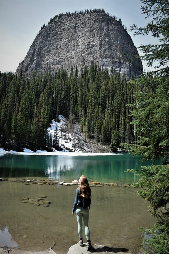 скала, камни, деревья, озеро фото
