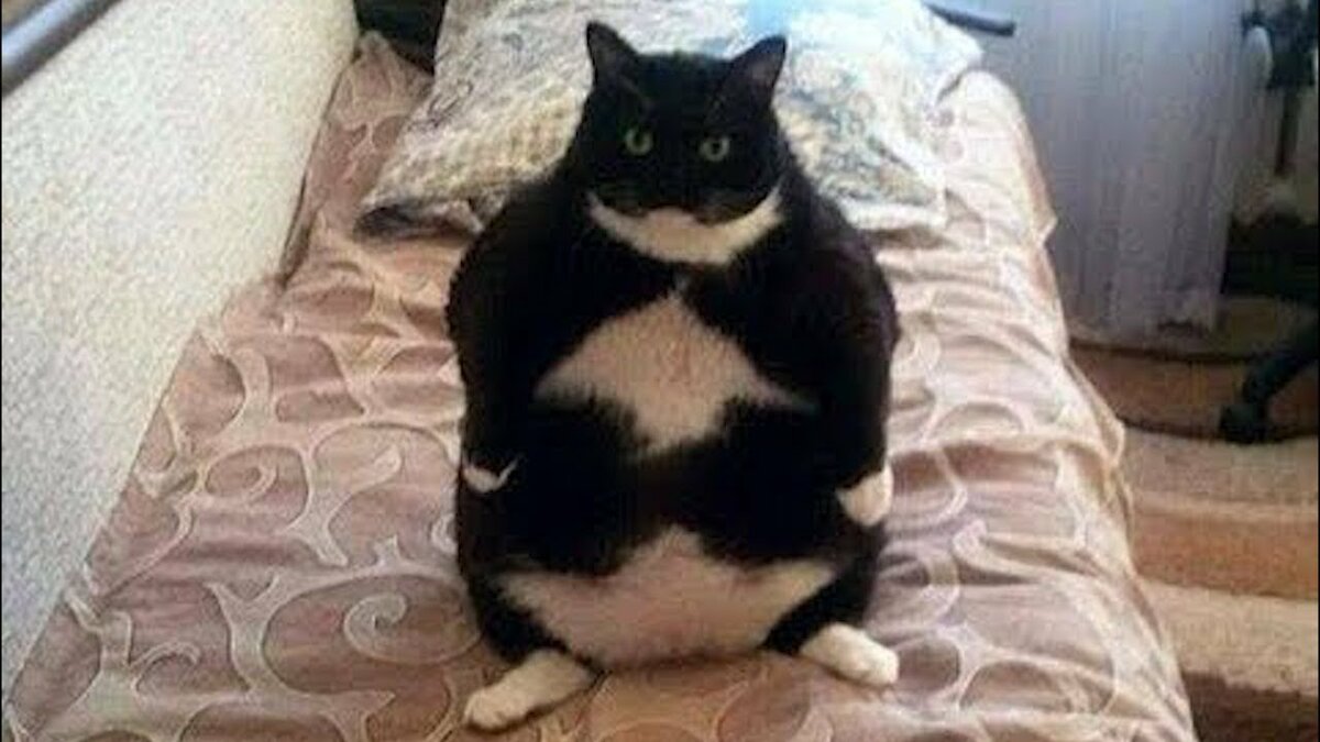 �������� ������� �������� �� ���� ��� �����