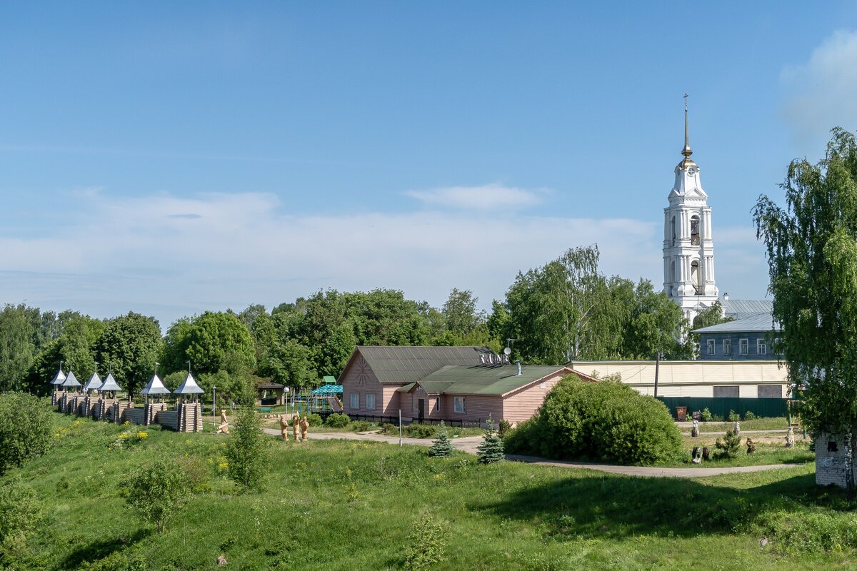 буй костромской фото