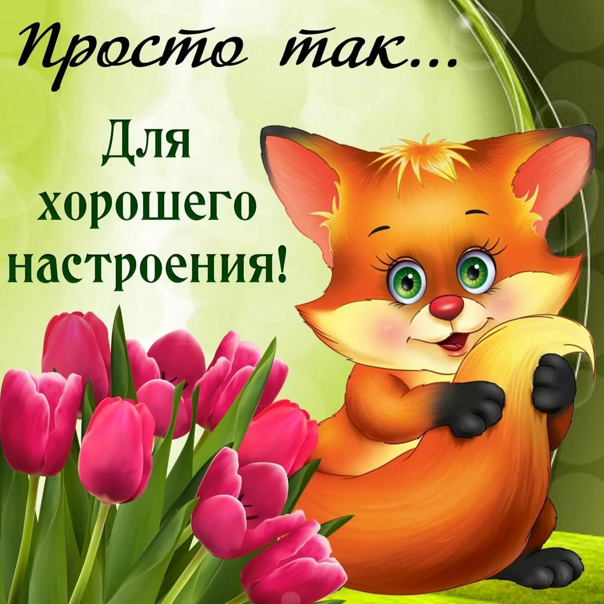 ����������� �������� � �����������, ��������