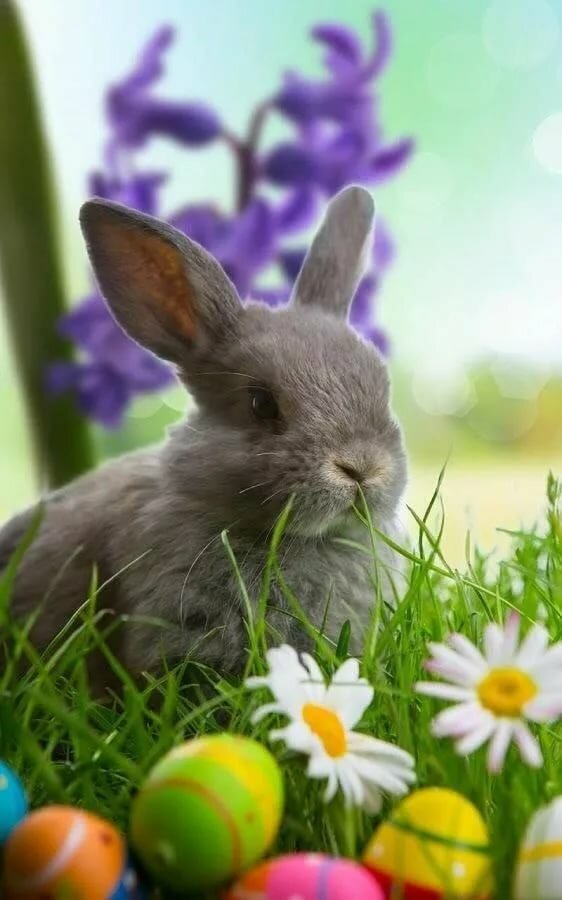 ���� ��������, �������� �� ����� �� �������