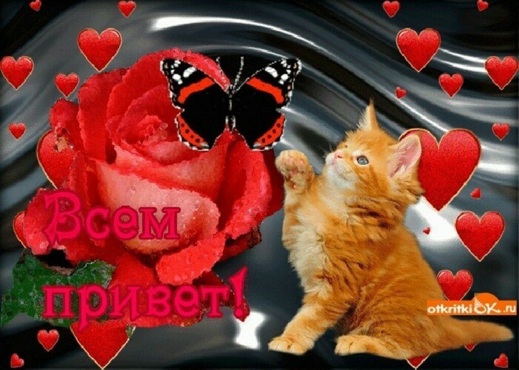 ����������� �������� ��������, ��� ��������