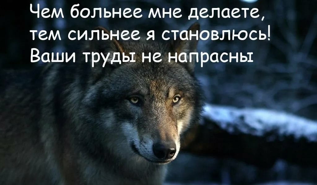 �������� � ������� � ��������� ��� ����� �� ������� ����� 2016, ���� ��������