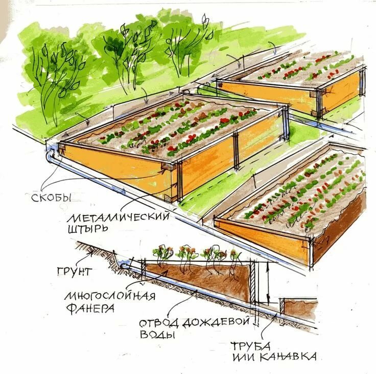 грядки на участке с уклоном