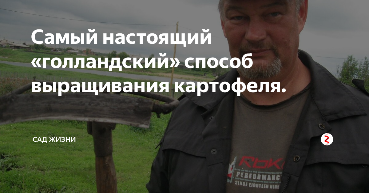 посадка картофеля фото