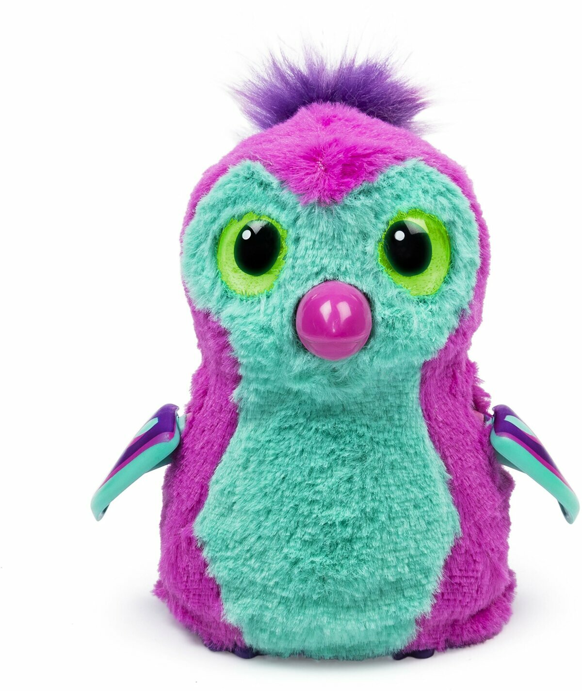 ���� ������� ���������� ���� ������