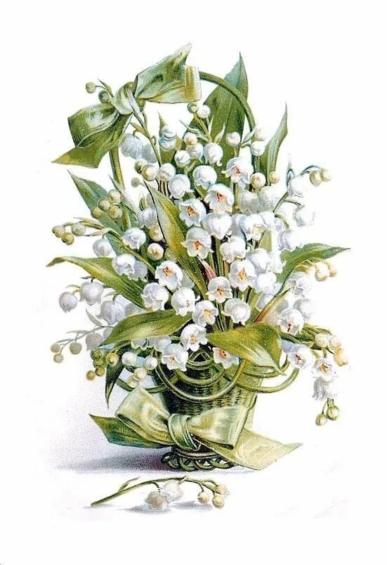 Bouquet of Lilies of the Valley - Salvabrani