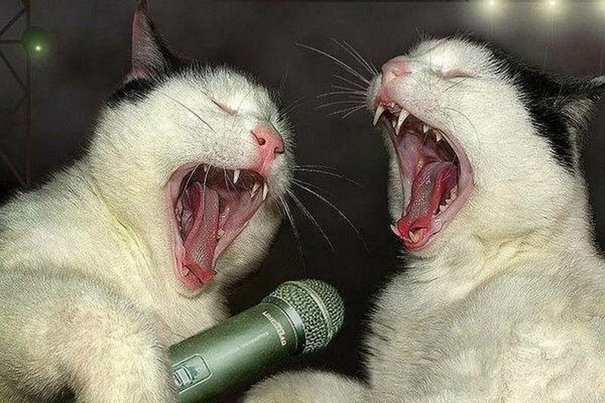 ����, ������� � ������� �������� �������� �� ����