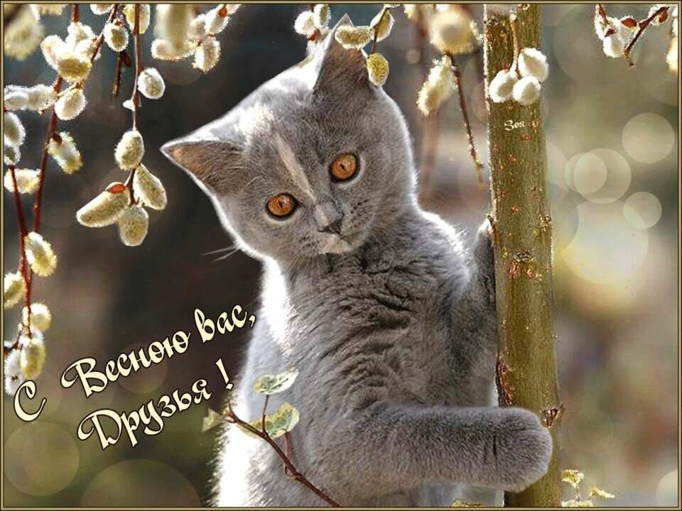 ���� � 1 ����� ����������, ����