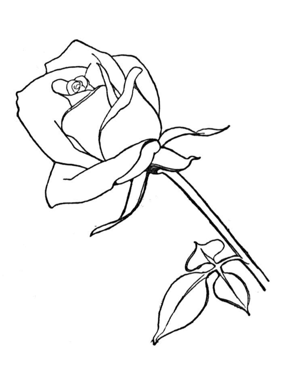 ��� ���������� �� �������� ������ ��� ����