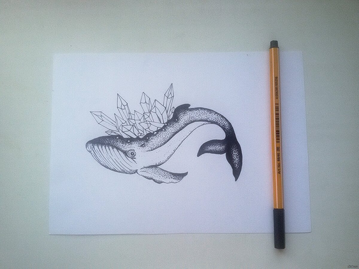 рисунки ручкой для срисовки фото