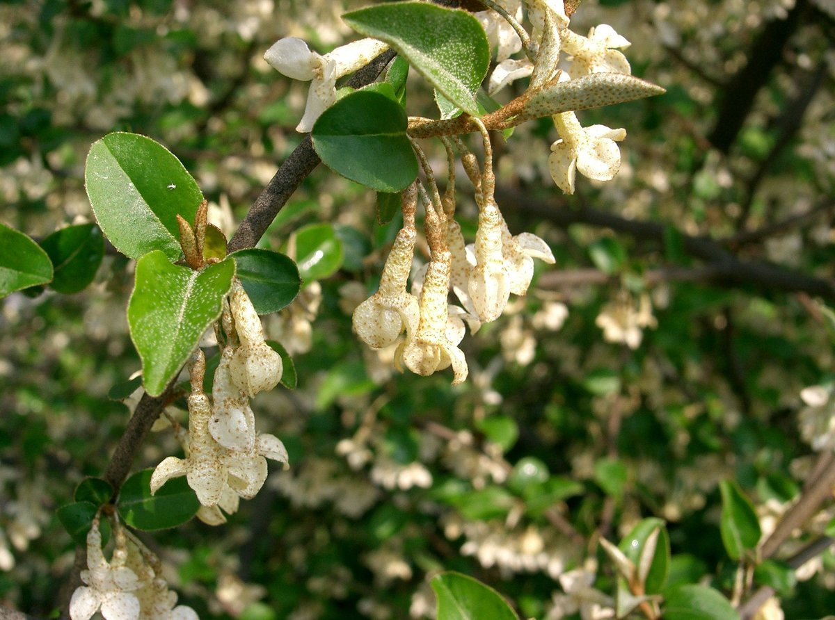 �������� ���� ���� ��������