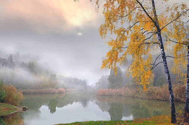 игорь зенин осень фотохудожник фото