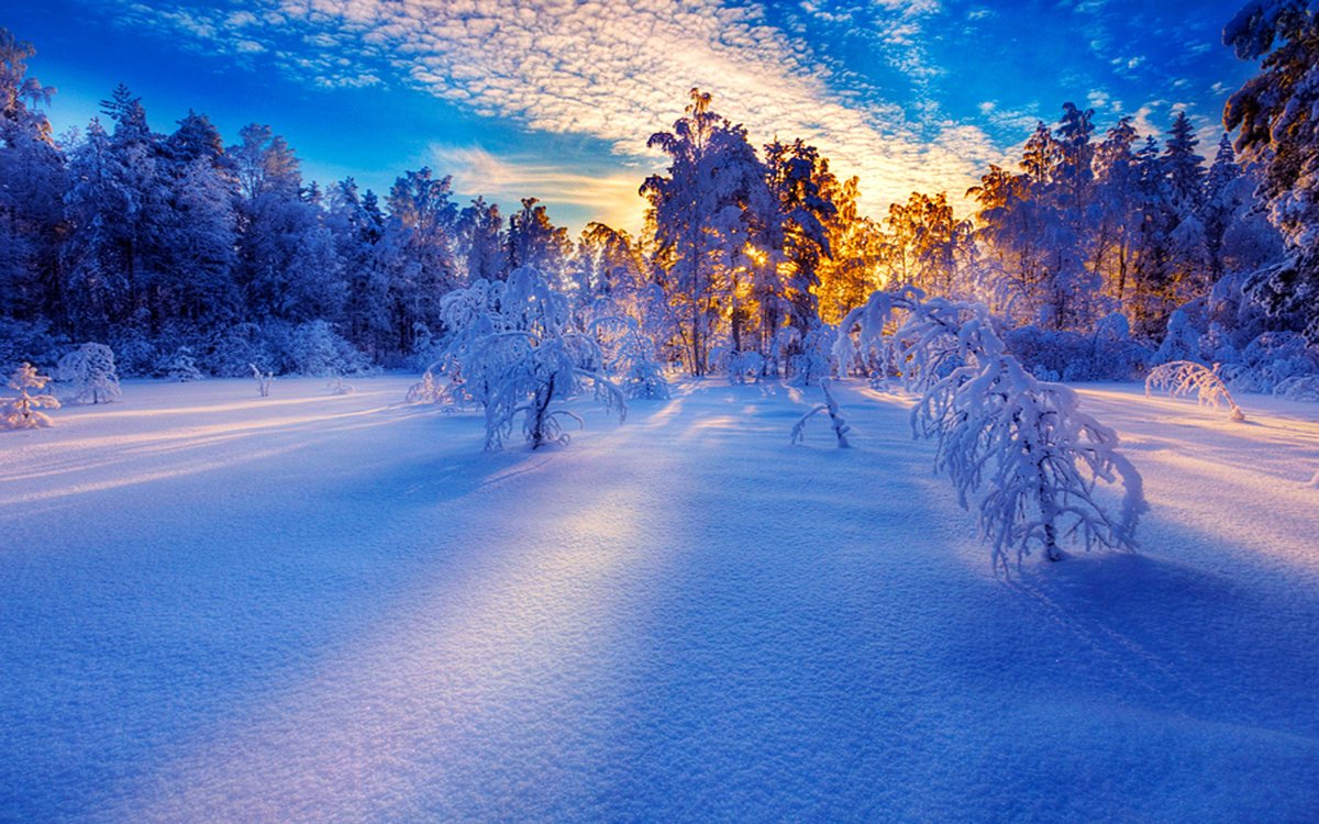 зимний пейзаж фото