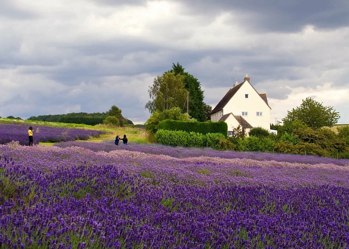 �������� �������