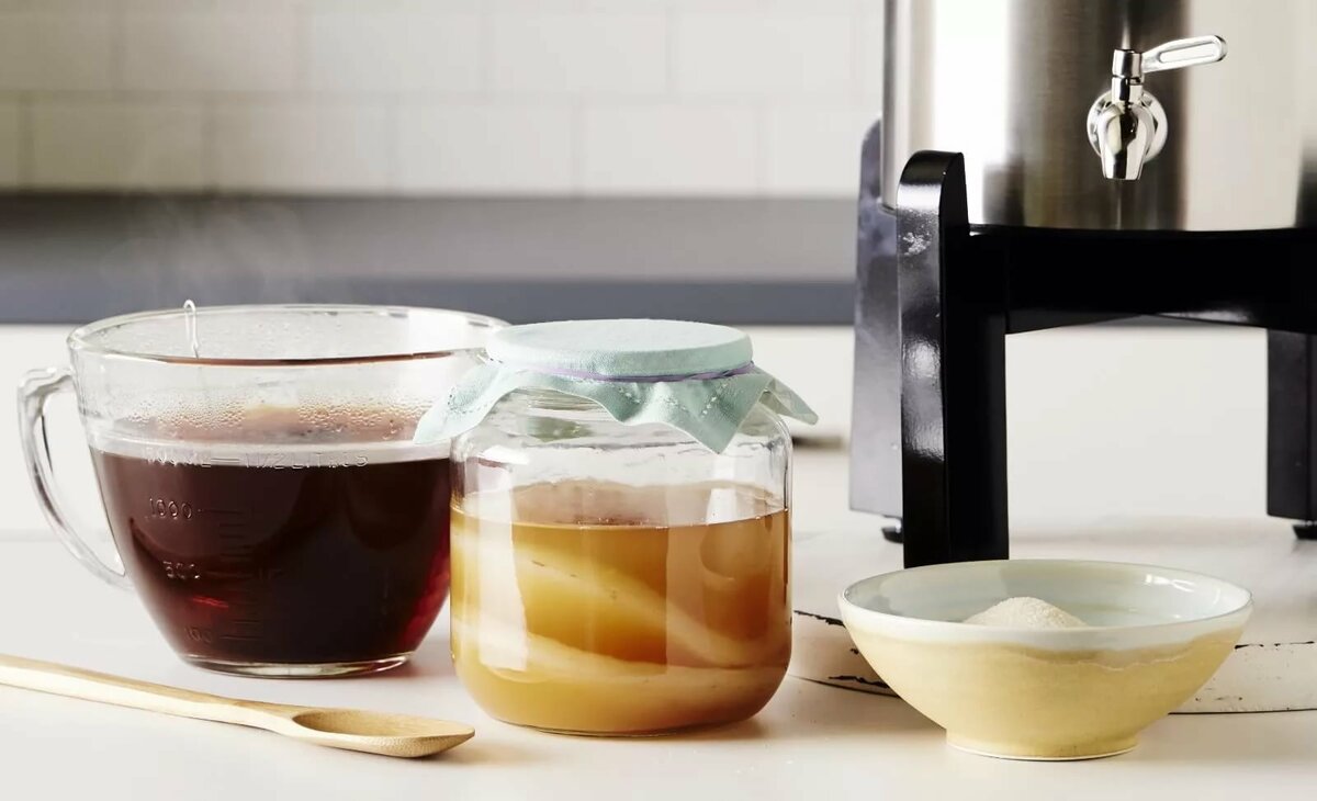 Чайный гриб из черного чая