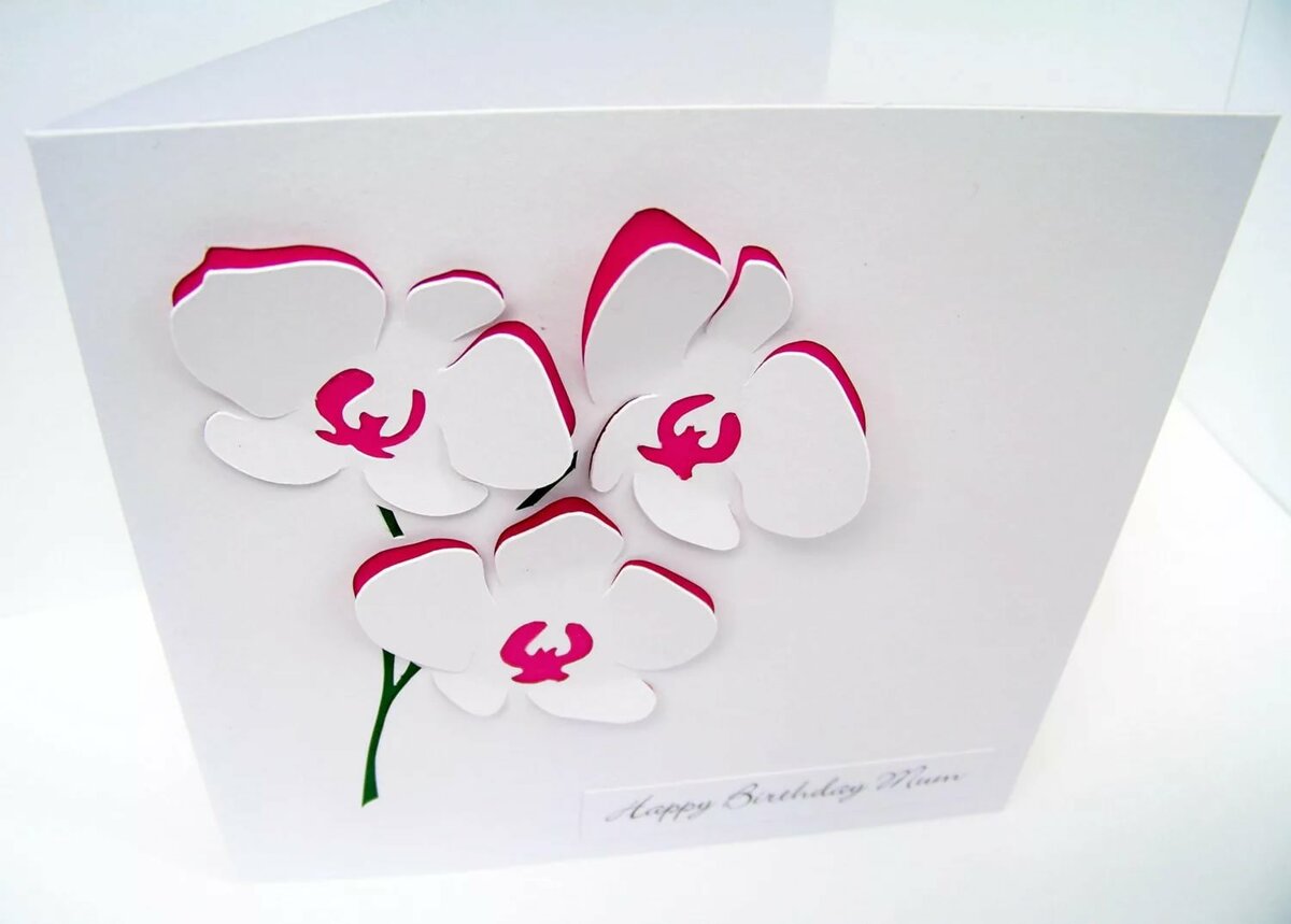 ��� ������� �������� ������ ������ �� 8 ����� �� ������, ���������� �����