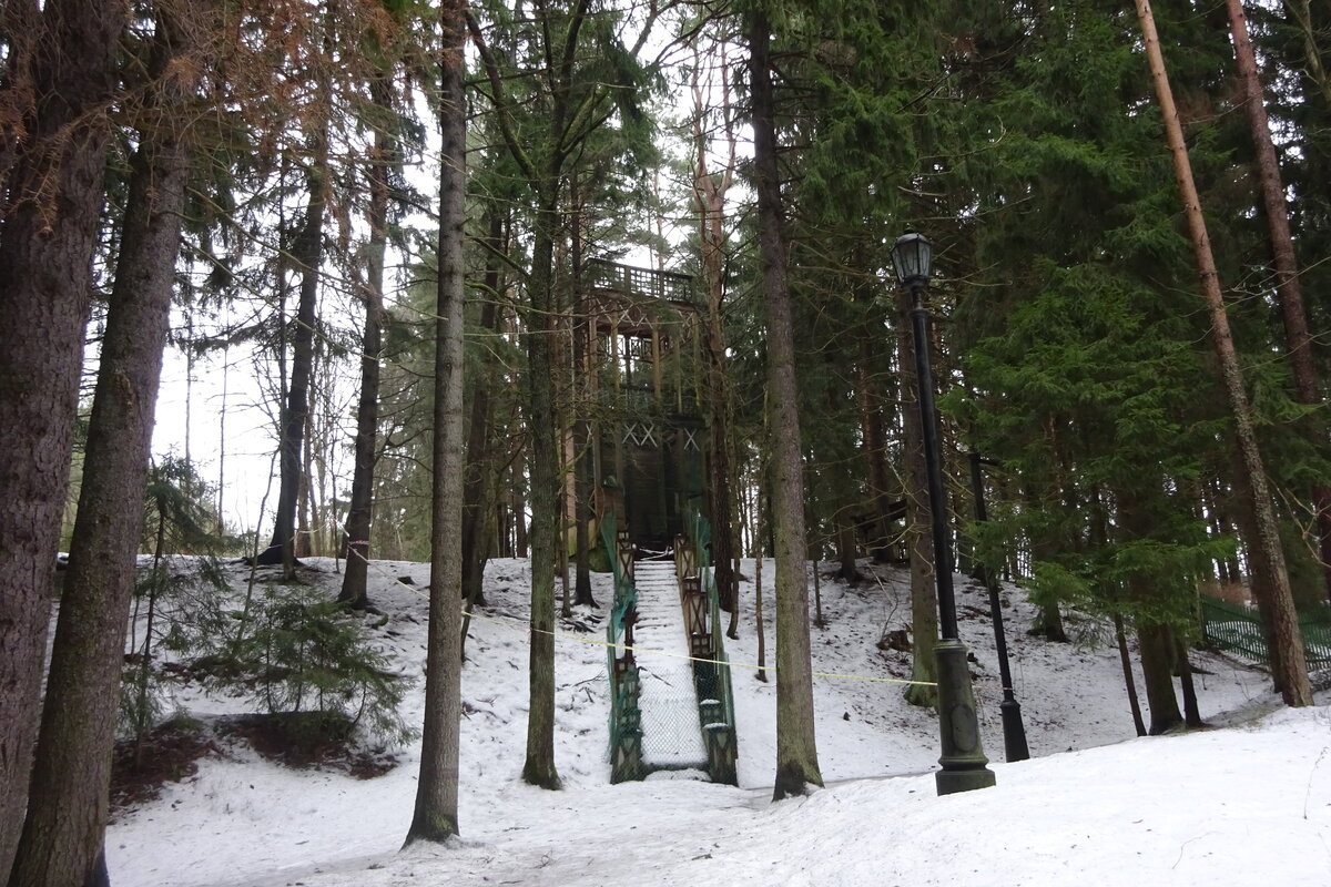 райвола парк рощино фото