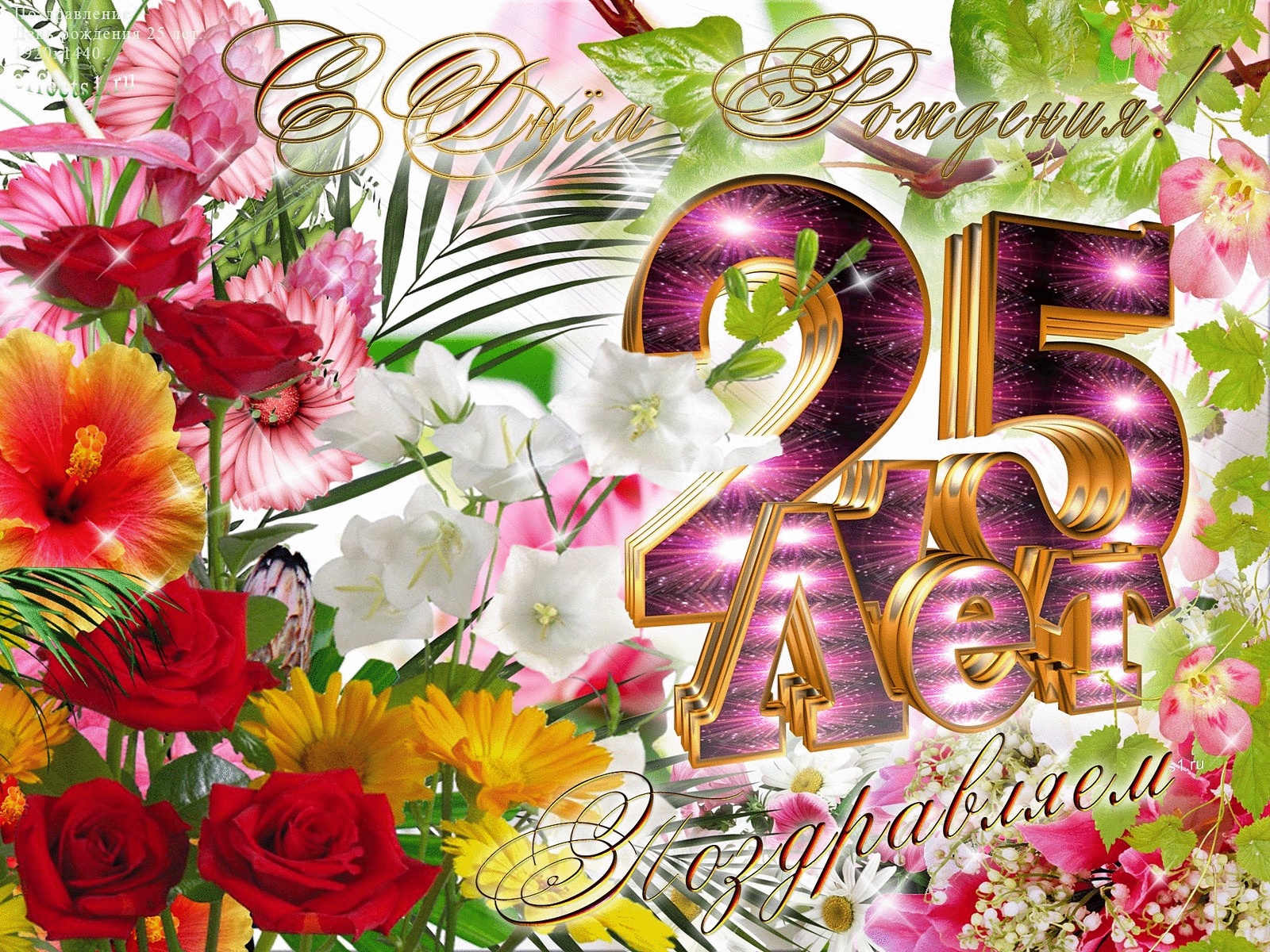 �������� � ���� 25 �����