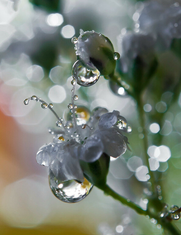 �������� � ��������� ����, ����� ��� ��������