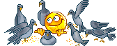 https://avatars.mds.yandex.net/get-pdb/1598389/c09abf6b-1bd3-4f45-94e5-f306f687e7c3/orig