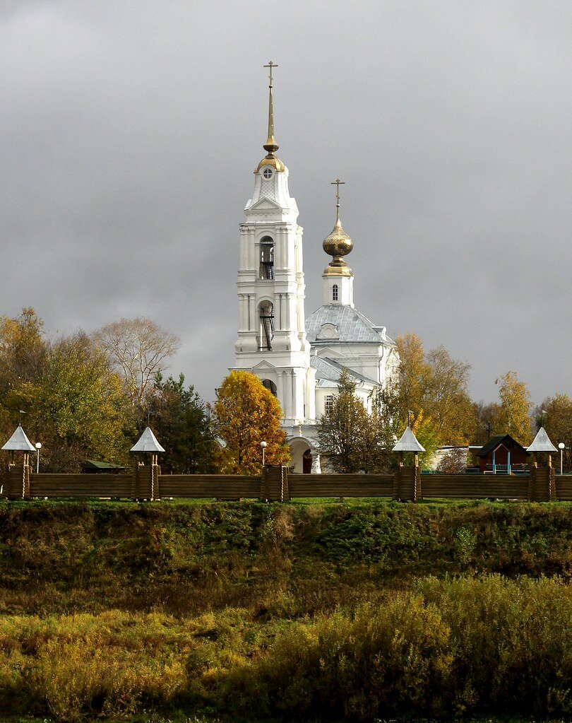 буй костромской фото